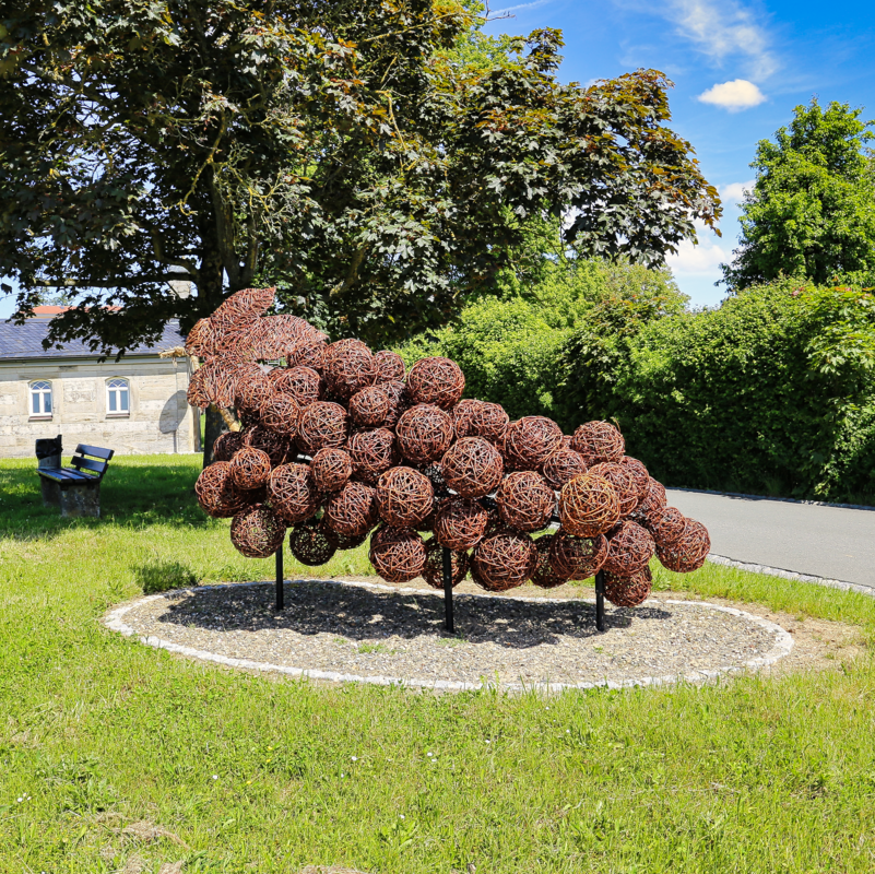 Weinrebe Weingarten_Stadt Lichtenfels_Dressel Claudia7