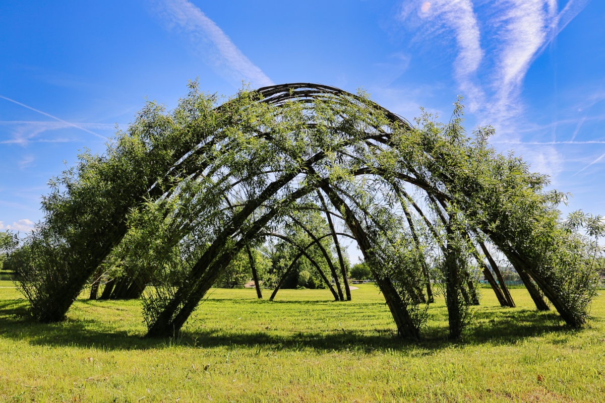 Der Weidendom am Ortswiesensee Oberwallenstadt